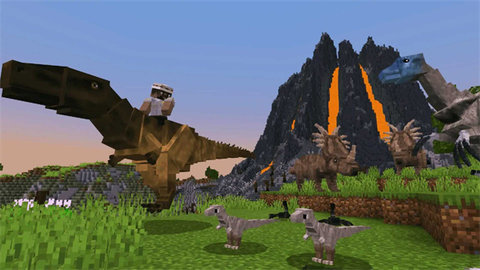 ��Ұ�����ʦ