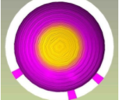 ����С��