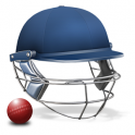 ӳ2015(Cricket Captain 2015) V1.0 ׿