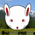  RabbitTouch V1.1.2 ׿