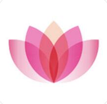 ������ 5.0.6