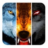 ���� V3.2.3 ��׿��