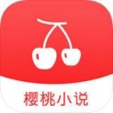ӣС˵app