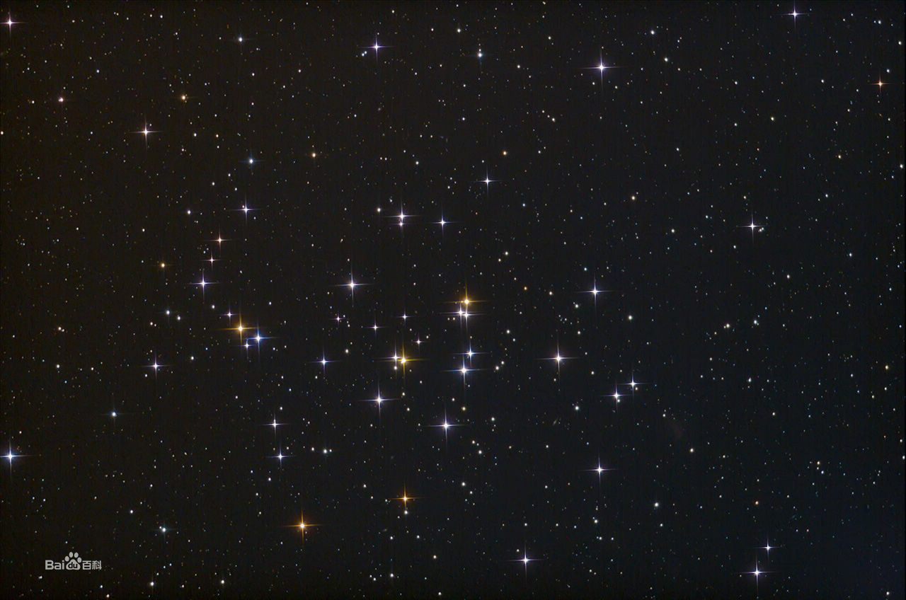 �Ŵ������л�ʬ������