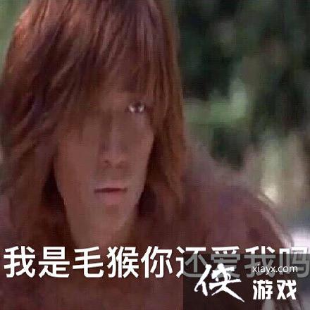 ë����ʲô��ë����˼�����������