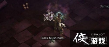 ����3��ţ�Ȳ����ռ�����ȫ����