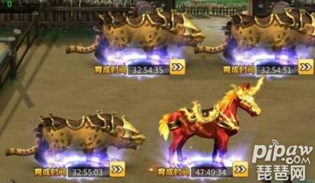 ��������2�����������