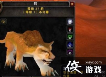 ħ�����绳�ɷ�����ѧϰʲô���ܺ�