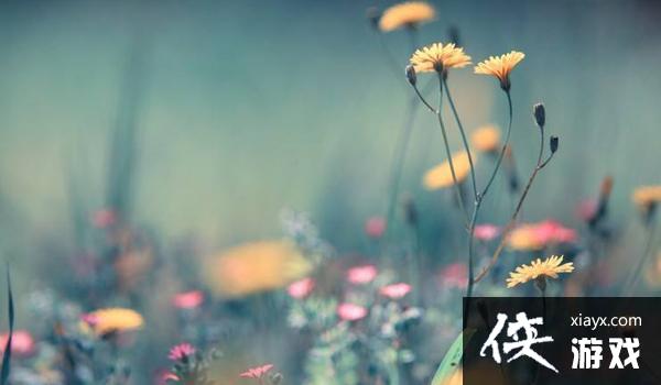 ΢�źŴ�ȫŮ��