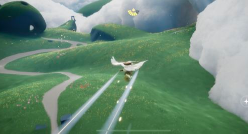 ����������ʲôʱ��ˢ��