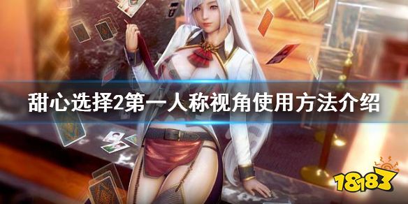 ����ѡ��2��һ�˳��ӽ�ʹ�÷�������