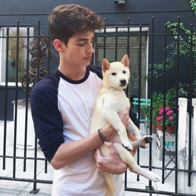 ŷ������ͷ������˧��2020����