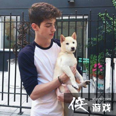 ŷ������ͷ������˧��2020����