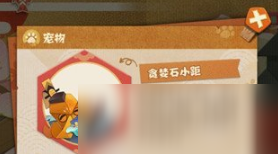 ʦݳ