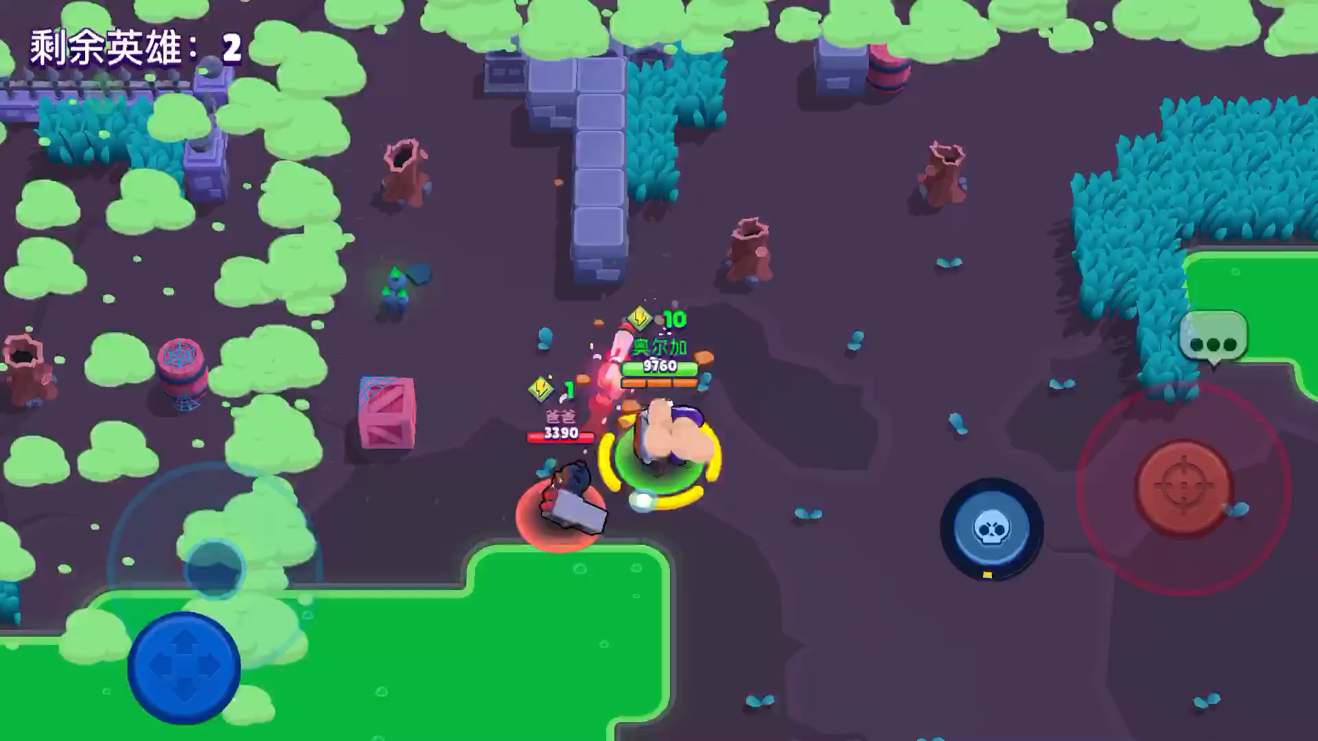 ��Ұ�Ҷ�¼��1��