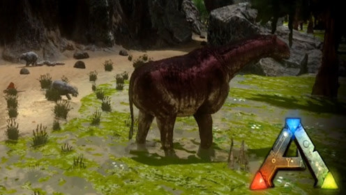 Ƥ����˵��Ϸ��Ƶ