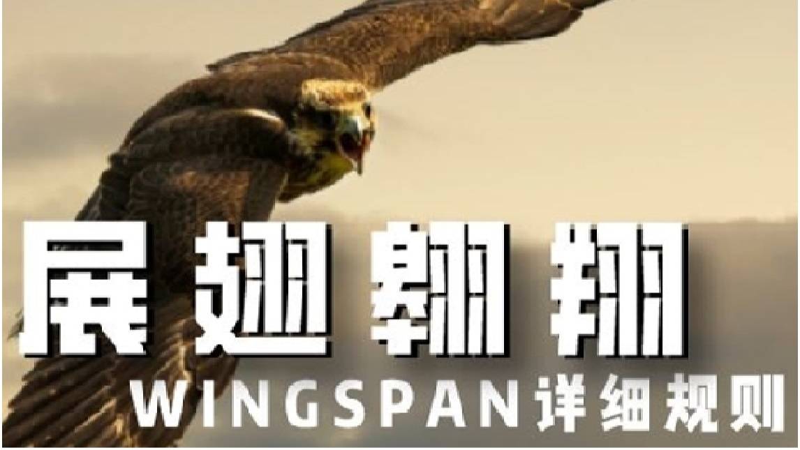 ��������ô�桿չ�᰿�裬���򣬽�ѧ�����ӣ�����ͼ�����񵰣���չ��Steam�����裬��Ϣ�أ���̬����