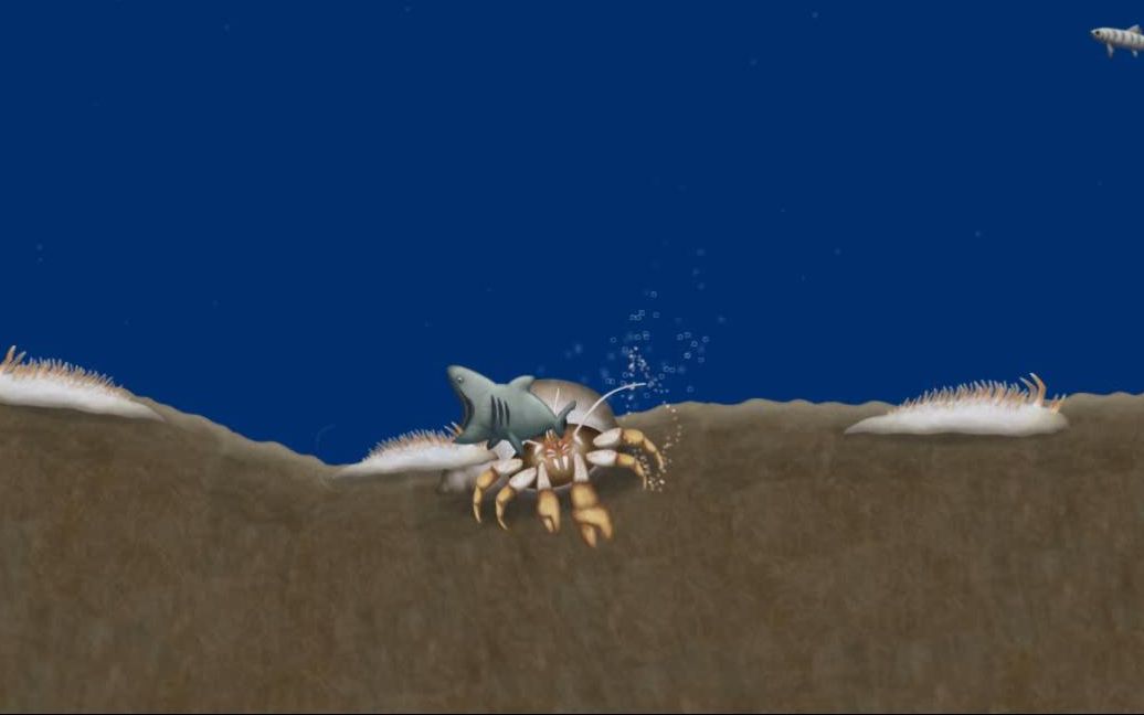 ����ζ���� ���㡷������ ȫ���������������������