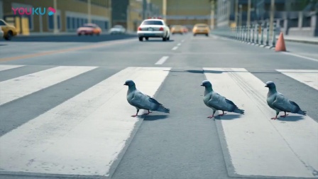 ����������������ģ��������������Ʒ