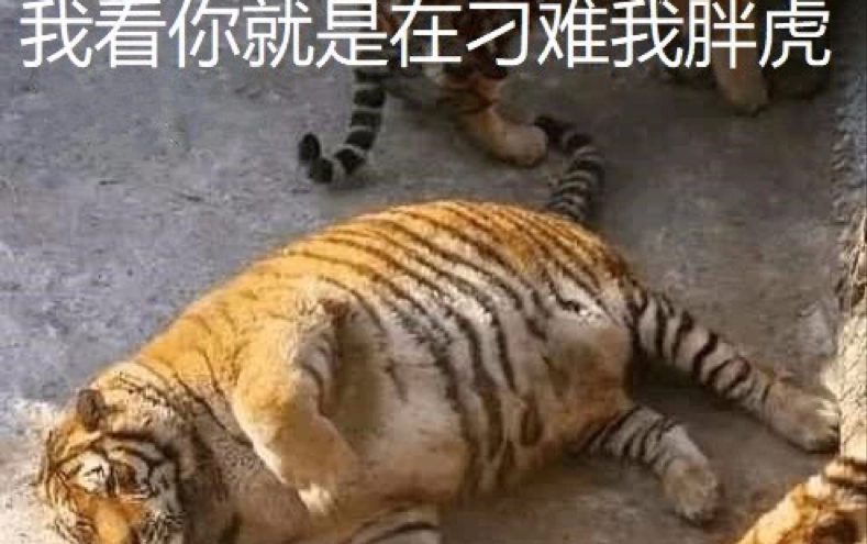 ���������ѡ���ۡ�IOS������*1