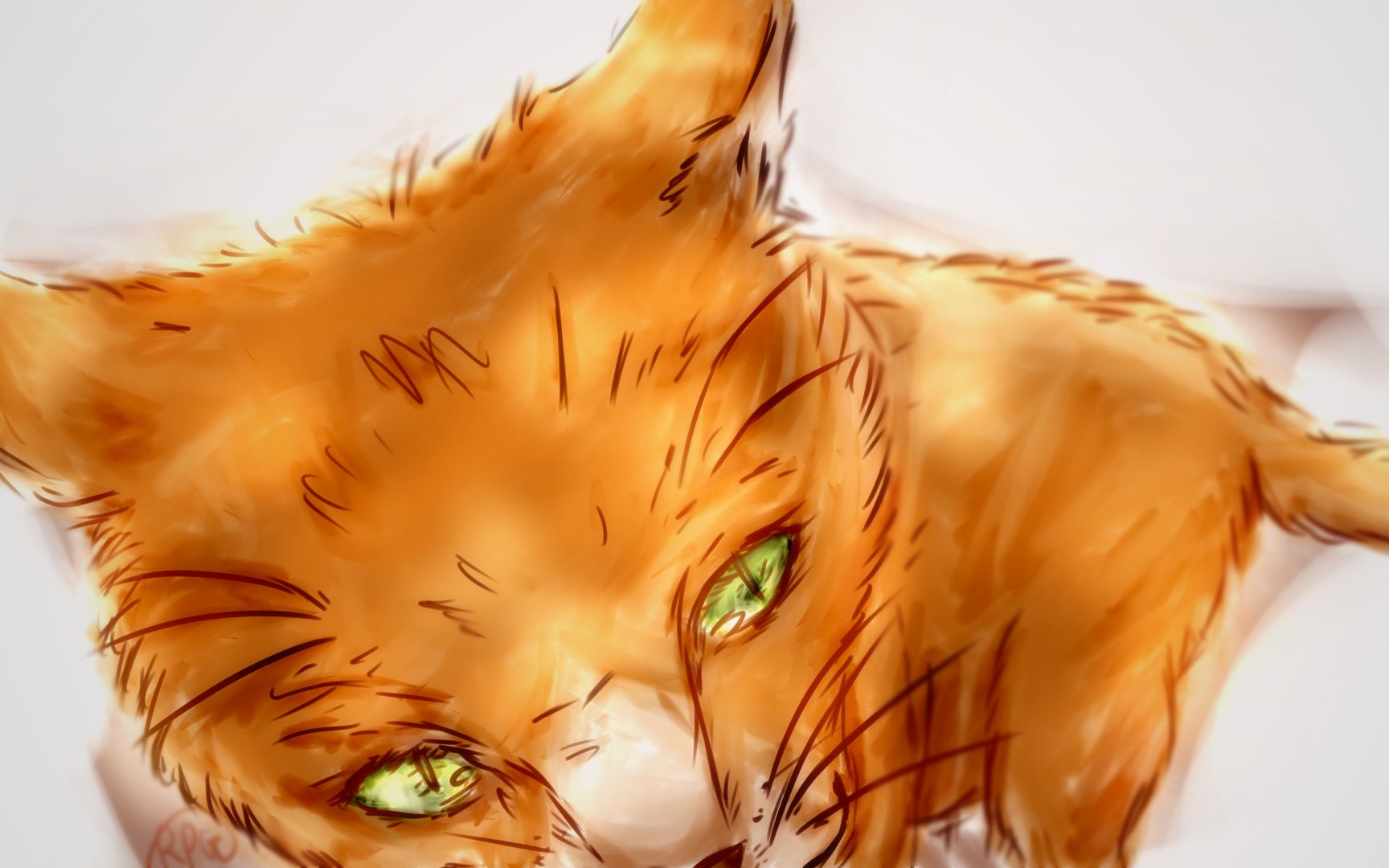 ��60�롷�����è��ռ�������