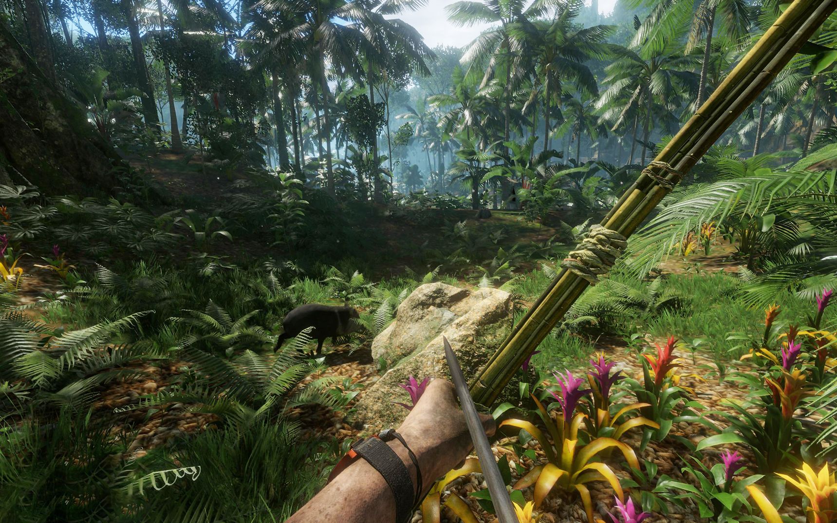 ��ɫ����ح���������ȥ���ұ���������ѷ���֣�