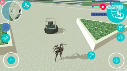 ֩����������Ӣ�ۣ�֩������˷��ֱ�������ϧȡ��������