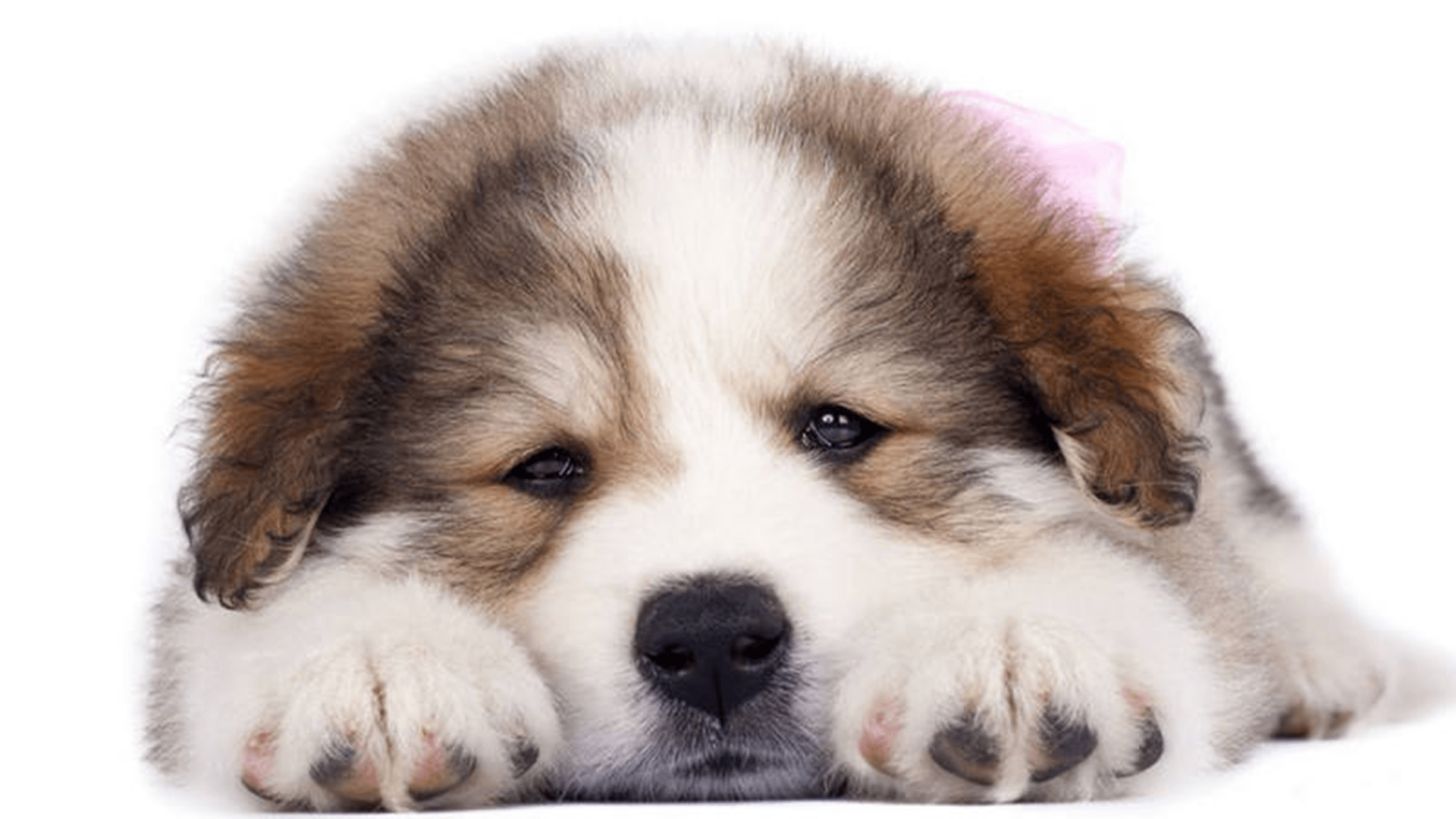 ������С��Ϸ��ȫ