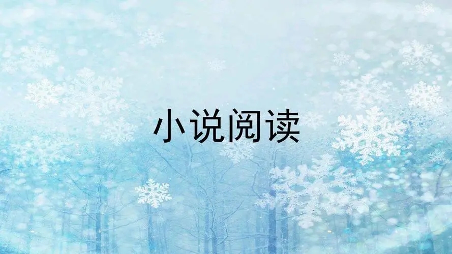 �������С˵�Ķ��������а�ǰʮ��