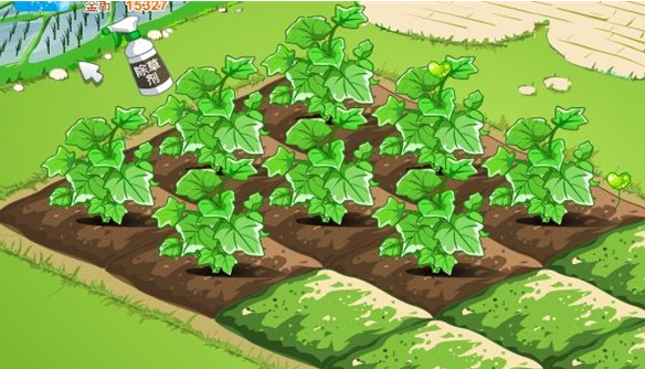 ��׬Ǯ����ֲ��Ϸ����Щ