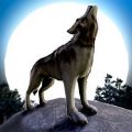 wolf.io V1.6.0 ƻ