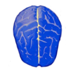 �߼����� - QI Test 8.77