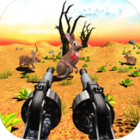 ˫ǹ������ V1.0 ƻ����