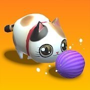 Balls Bump Cat V1.0 ׿