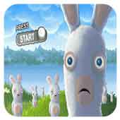 ���� ������� 