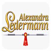 ������Ӣ2 