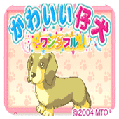 �ɰ���С�� �հ� 