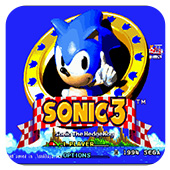 �����3 ������ 