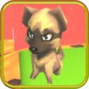 ذDoge V1.0 ׿