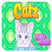 �ɰ�Сè ���� 