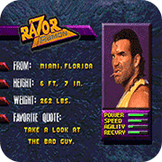 WWF����ˤ��32X 