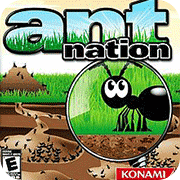 ��������DS 