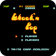 ������ ���Ȱ��� 