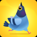 Pigeon Pop Pop 1.2.5