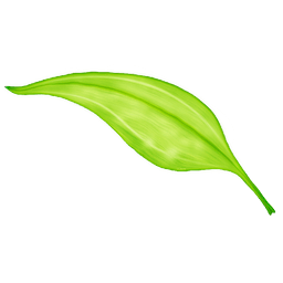 xposedroot汾(VirtualXposed) v3.1.1 ׿