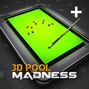 3D(Pool Madness)׿ v1.7