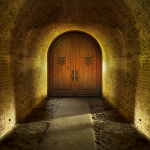 �ᶨ���Ѿ��� V1.0.0 ��׿��