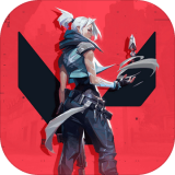 ȭͷvalorant���°� 1.0