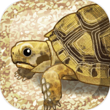 �����Ĺ����� 1.0