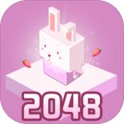 2048��Ф�ػ� 1.0